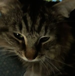 Meet your Posher, Kat